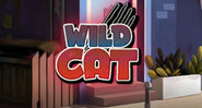 Wild Cat