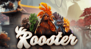 Rooster